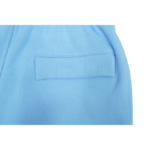Baby Blue Corteiz RTW Shorts